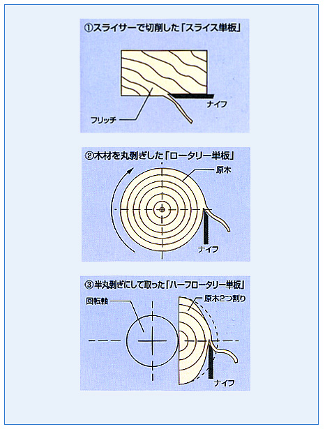 cLiPj̐}